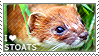 a stamp with an image of a brown stoat with text that reads 'i (heart) stoats'